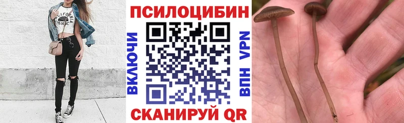 даркнет наркотические препараты  Инсар  Галлюциногенные грибы мухоморы  купить  цена  KRAKEN зеркало 